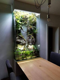 Wall aquarium